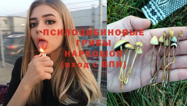 ECSTASY Алексин
