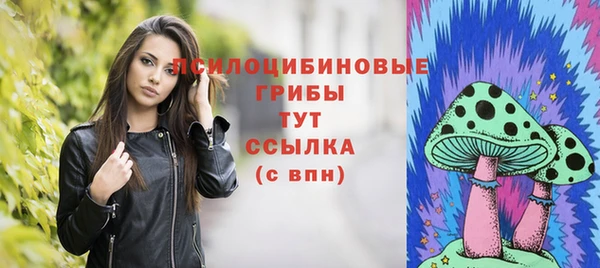 ECSTASY Алексин